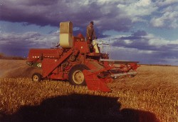 Greenfield Family Harvest